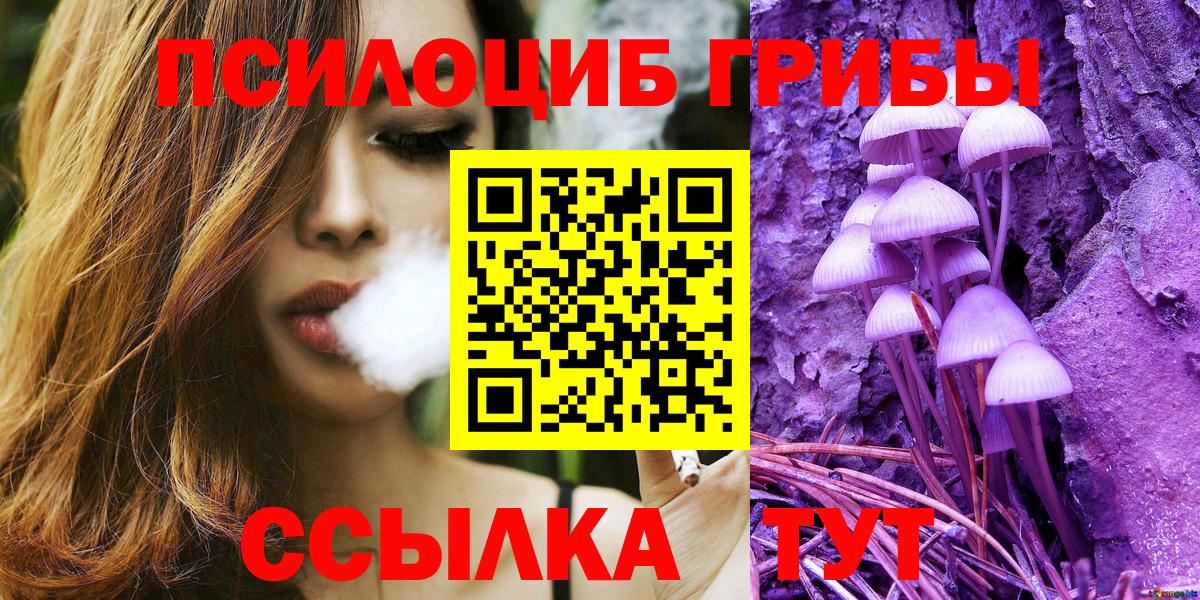 Шахты  Псилоцибиновые грибы Psilocybe  Вход с VPN 