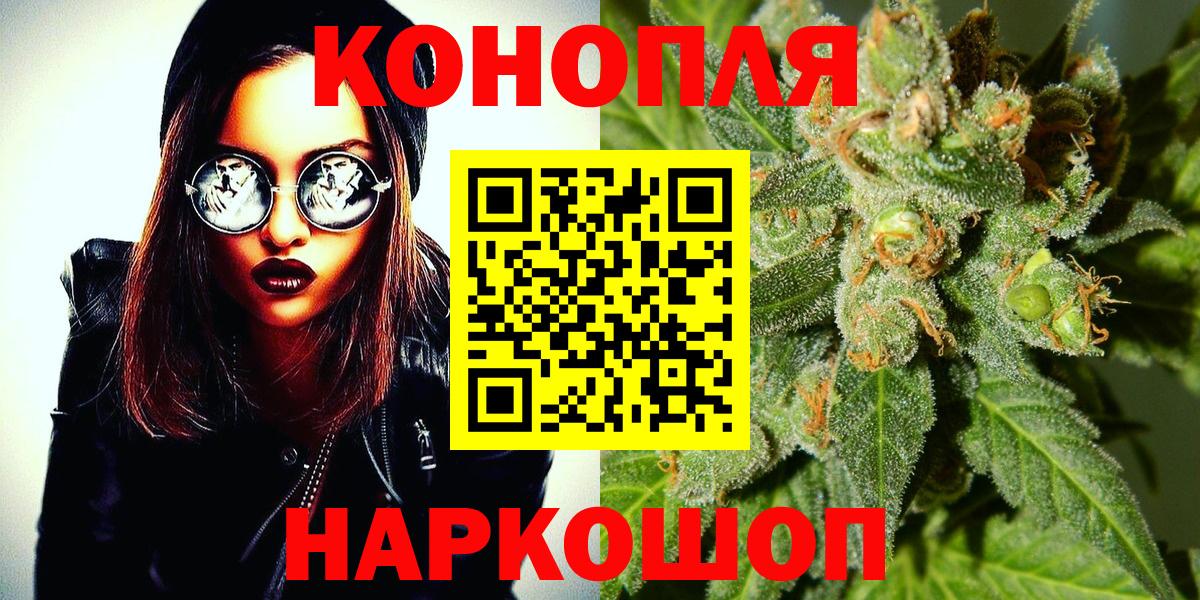 Шишки марихуана сатива Шахты