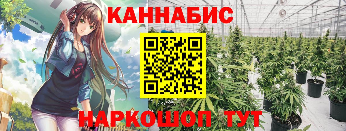 Бошки Шишки Amnesia  Конопля конопля  Шахты  Вход с VPN  Каннабис AK-47  Бошки Шишки Bruce Banner 